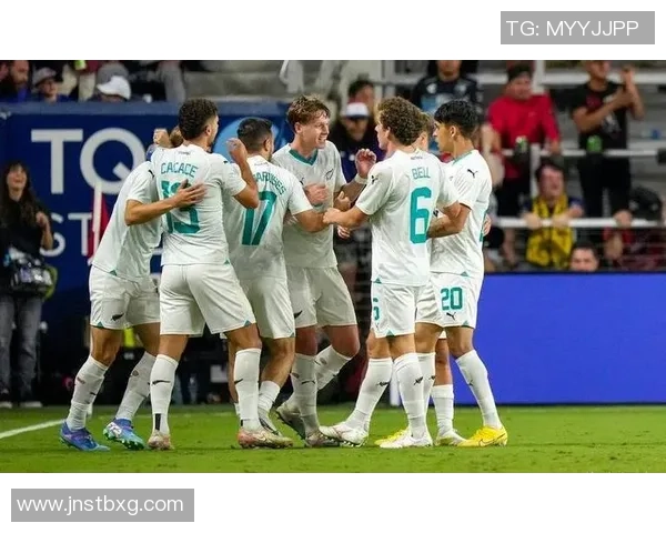 新西兰足球明星的国籍与成就揭秘及其对足球界的影响