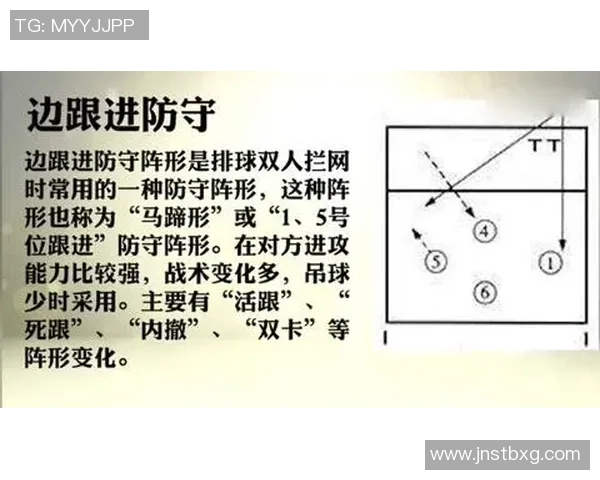 深圳排球队反击战术深度解析与实战应用探讨